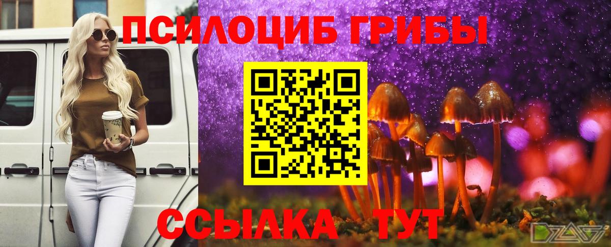 Псилоцибиновые грибы ЛСД  Псилоцибиновые грибы мицелий  Димитровград  Вход с VPN 