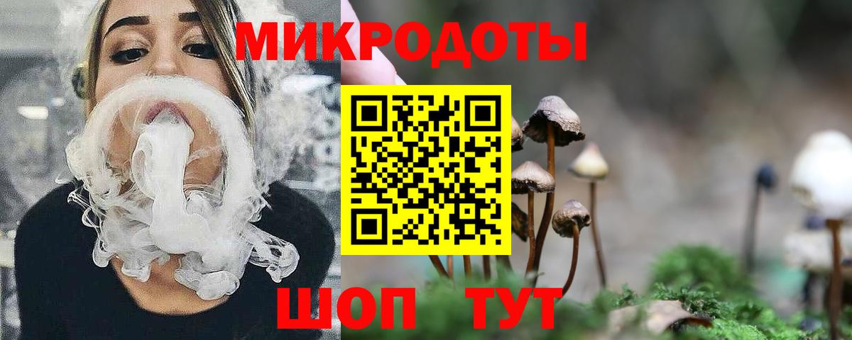 Галлюциногенные грибы Psilocybine cubensis Димитровград
